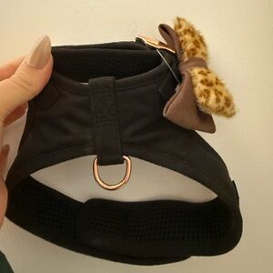 Coastal Black Mesh Dog Harness